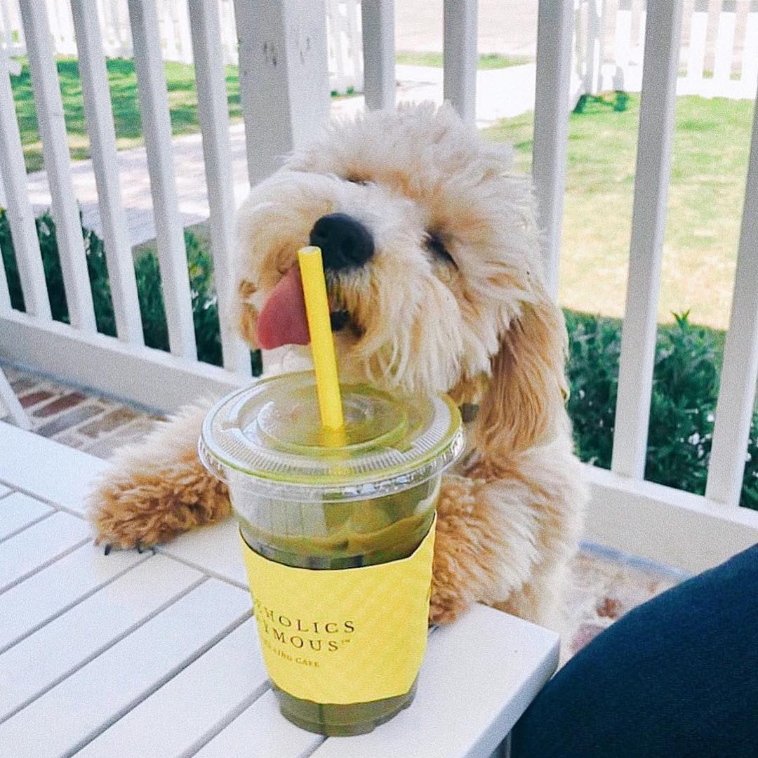 Custom 98mm PET Cup & Yellow Sleeves & Yellow Straw Set