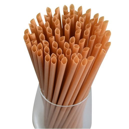 Biodegradable SugarCane Juice Straw - 19cm