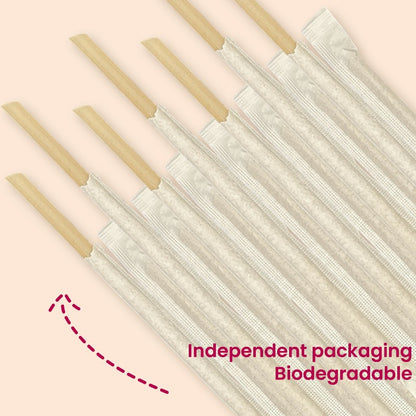 Biodegradable SugarCane Juice Straw - 19cm