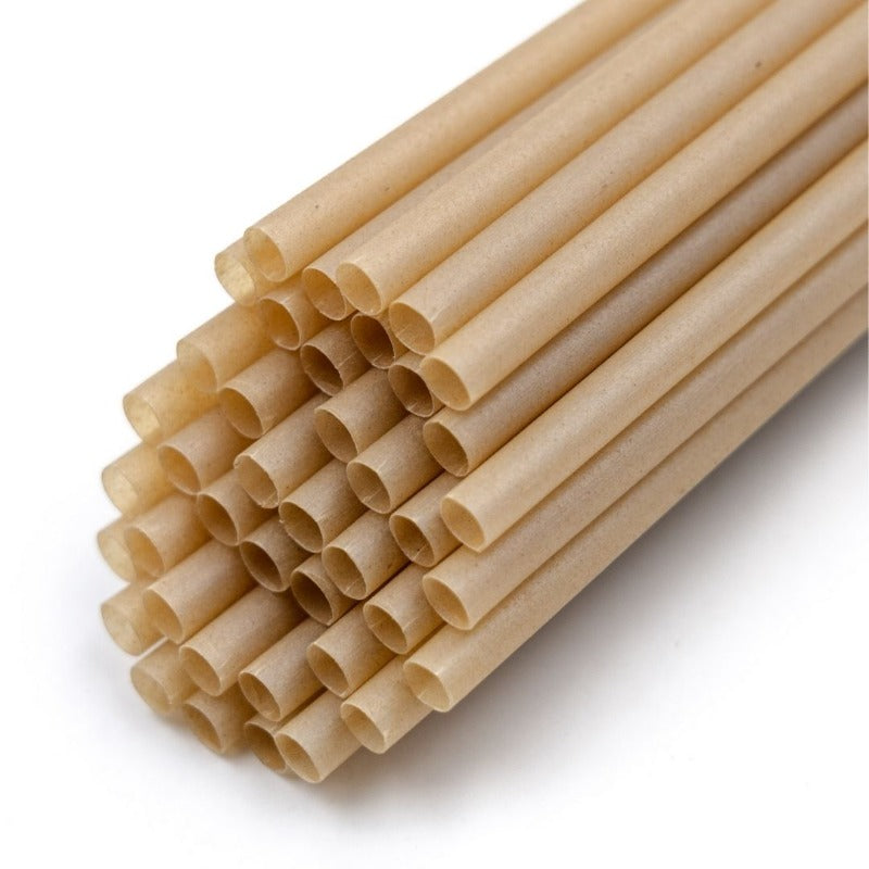 Biodegradable SugarCane Juice Straw - 19cm